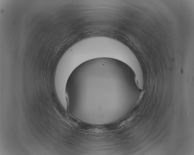 X0000083650412200703121750