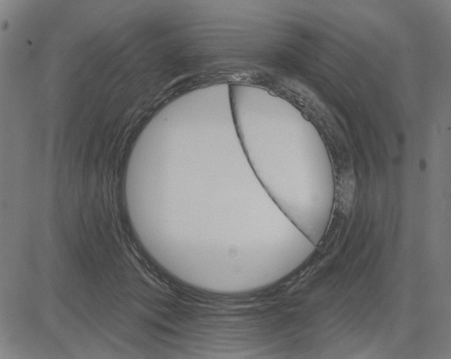 X0000083650413200703121750