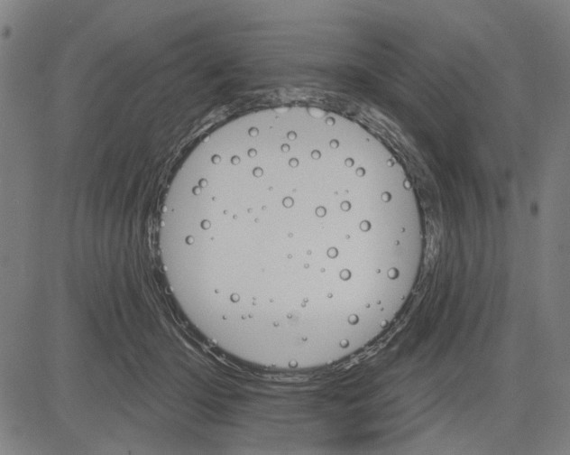 X0000083650414200703121750