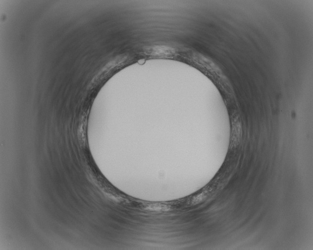 X0000083650415200703121750