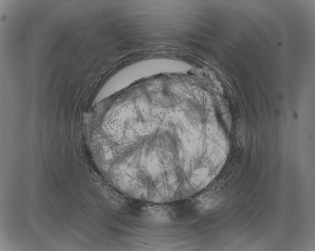 X0000083650417200703121750