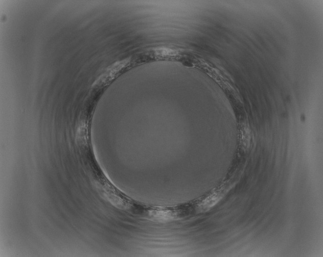 X0000083650419200703121750