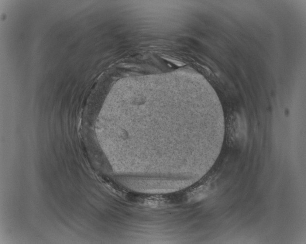 X0000083650420200703121750