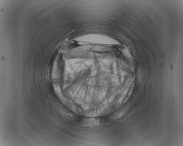 X0000083650421200703121750