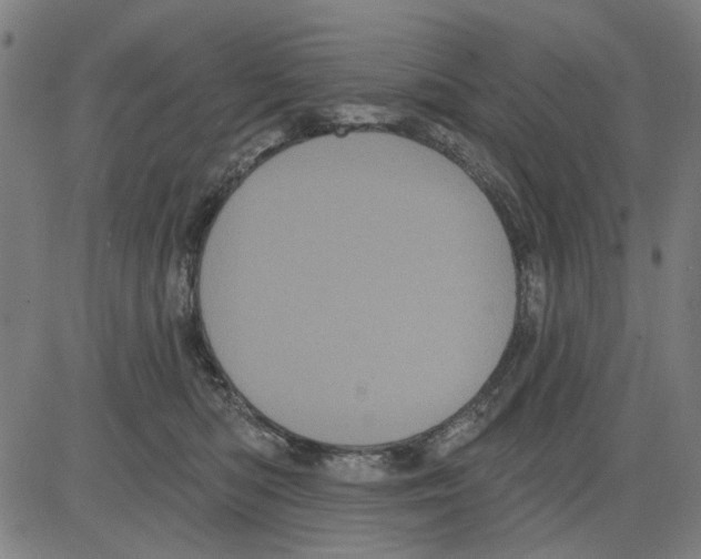 X0000083650422200703121750