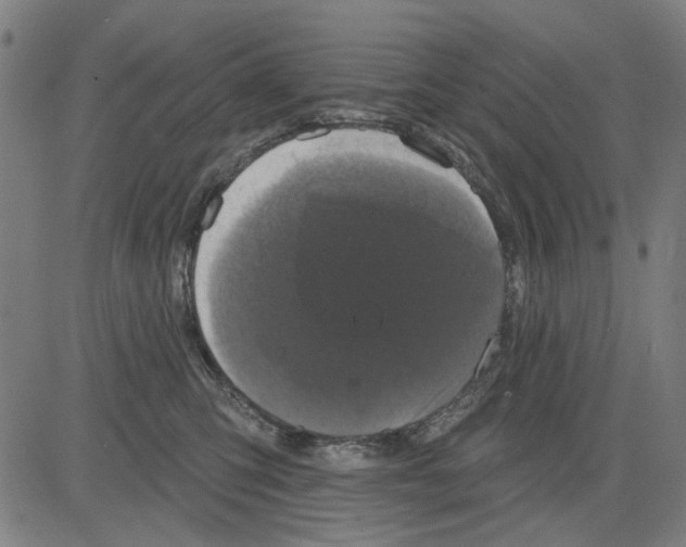 X0000083650423200703121750