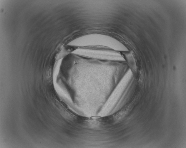 X0000083650425200703121750