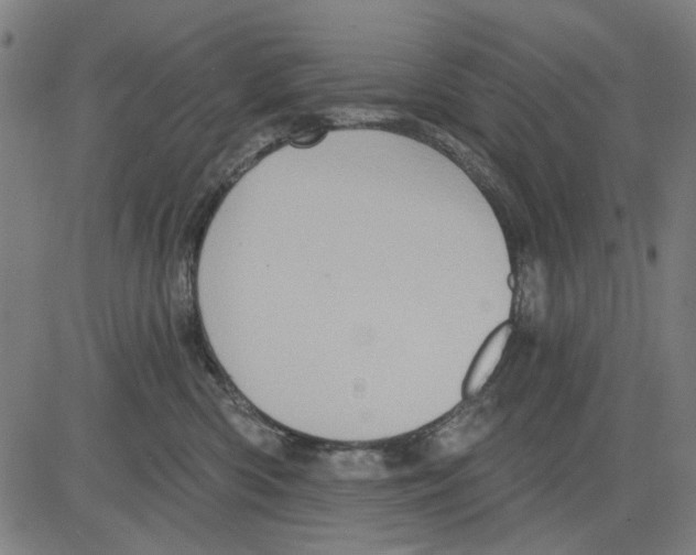 X0000083650426200703121750