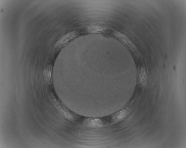 X0000083650427200703121750