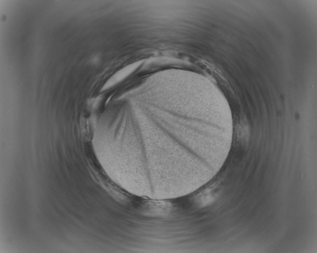 X0000083650429200703121750