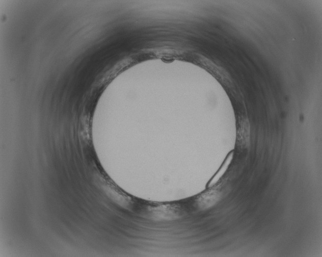 X0000083650430200703121750