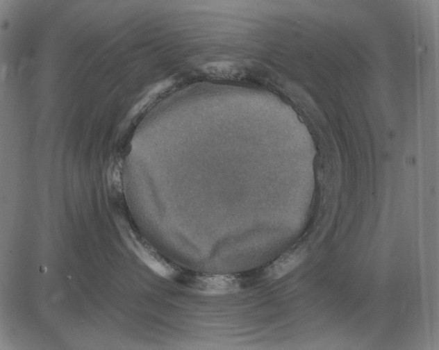 X0000083650432200703121750