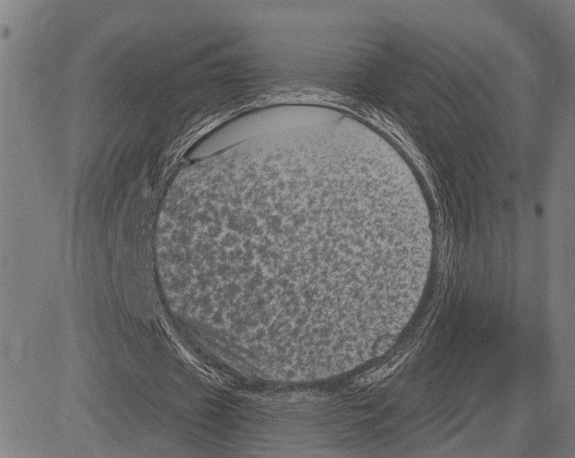 X0000083650433200703121749