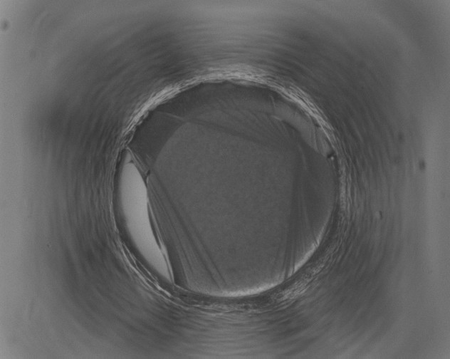 X0000083650434200703121749