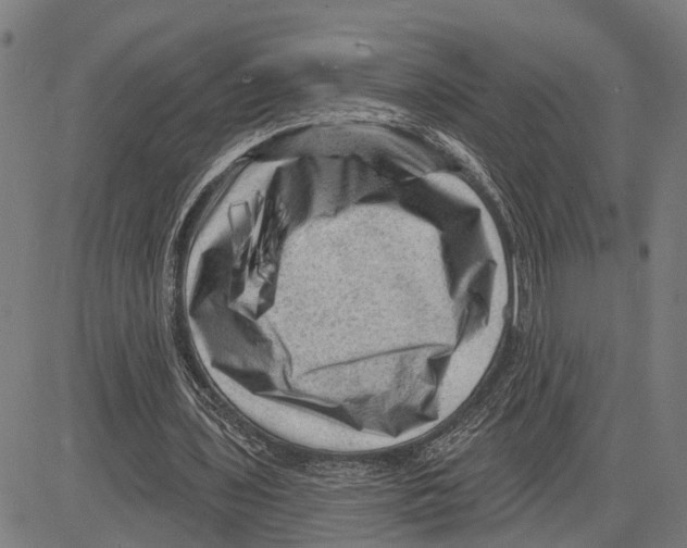 X0000083650435200703121749