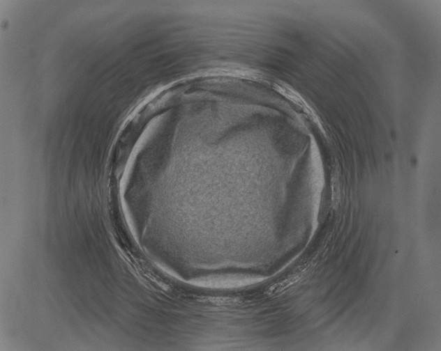 X0000083650436200703121749