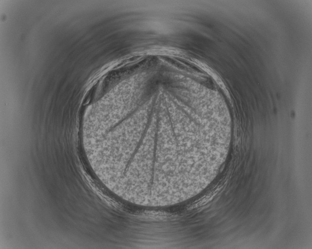 X0000083650437200703121749