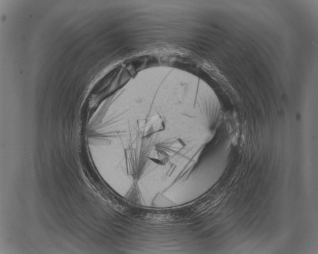 X0000083650440200703121749