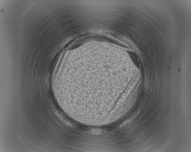 X0000083650441200703121749