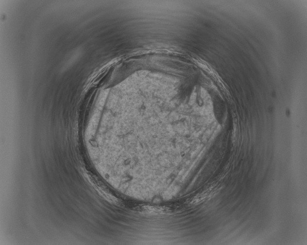 X0000083650442200703121749