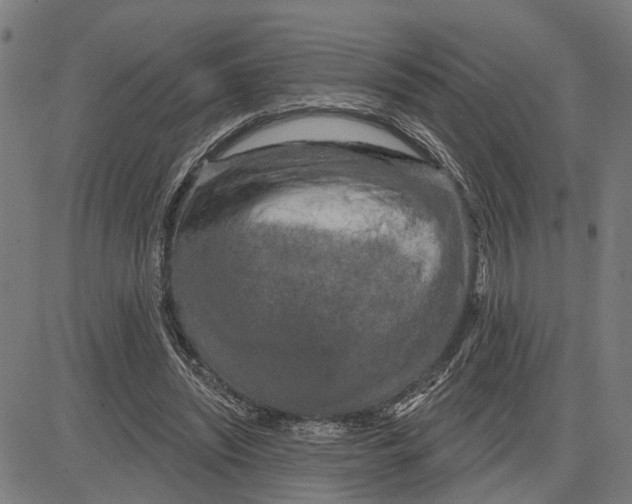 X0000083650444200703121749