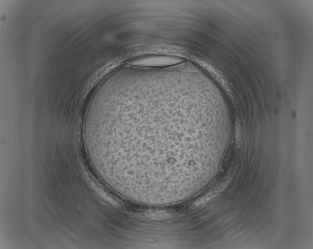 X0000083650445200703121749