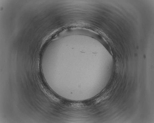 X0000083650446200703121749