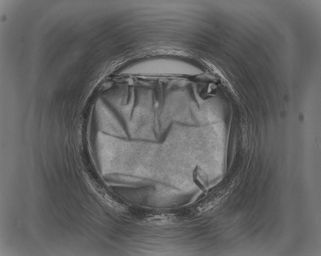 X0000083650447200703121750