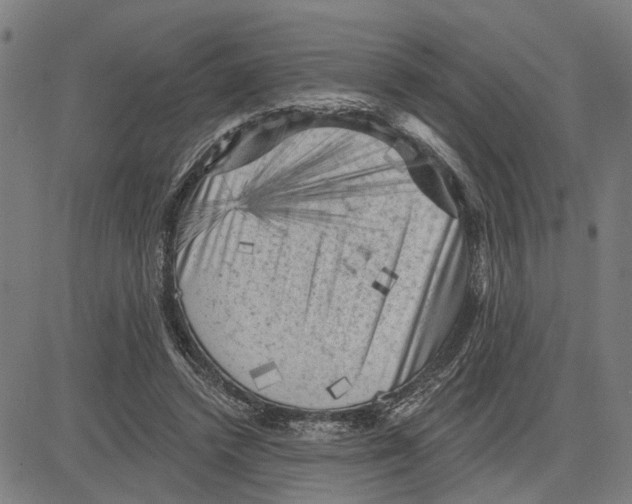 X0000083650448200703121750