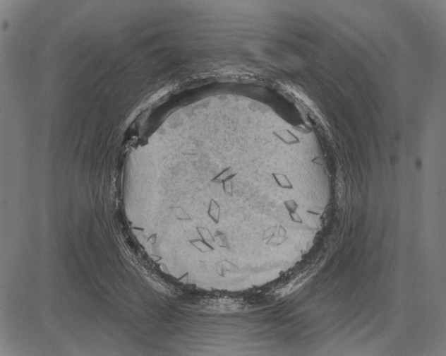 X0000083650449200703121750