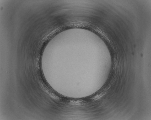 X0000083650450200703121750