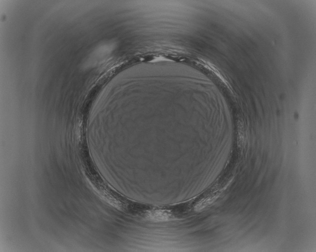 X0000083650451200703121750