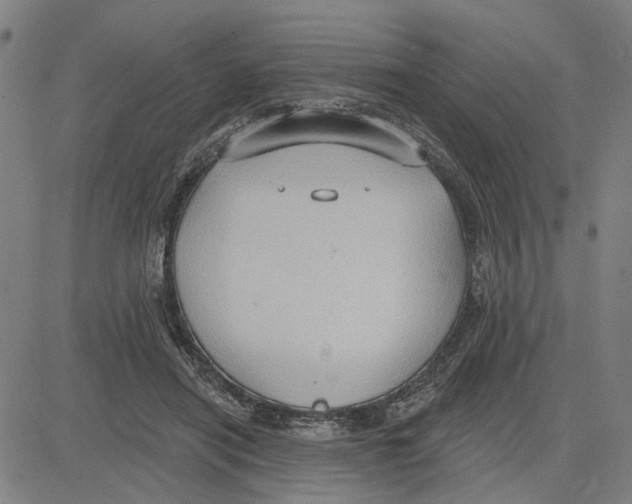 X0000083650454200703121750