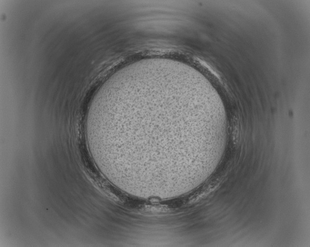 X0000083650455200703121750