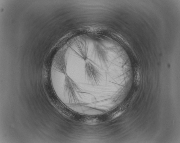 X0000083650456200703121750