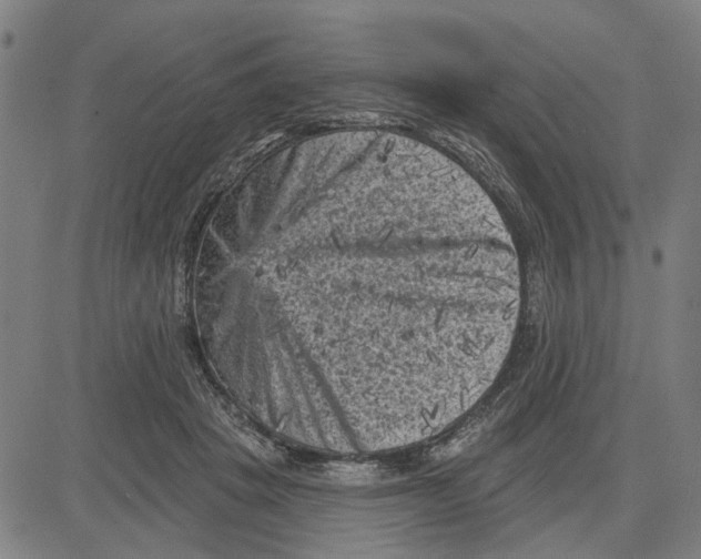 X0000083650457200703121750