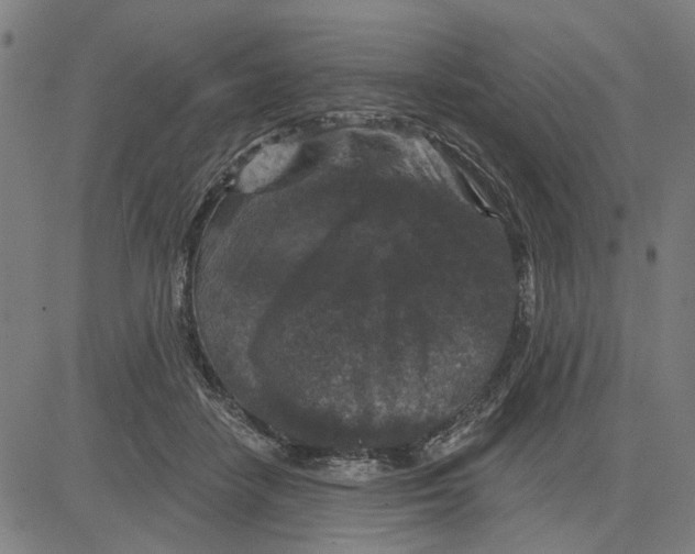 X0000083650458200703121750