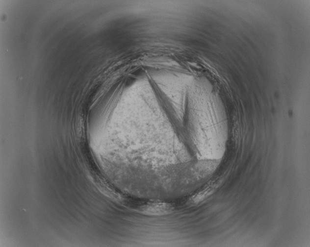 X0000083650459200703121750