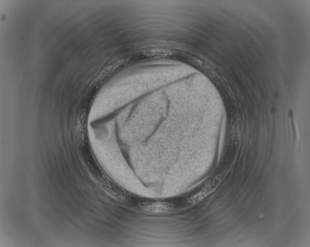 X0000083650460200703121750