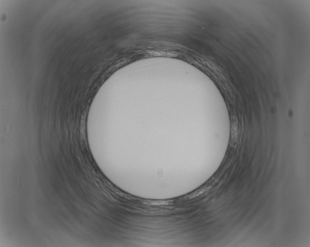 X0000083650461200703121750