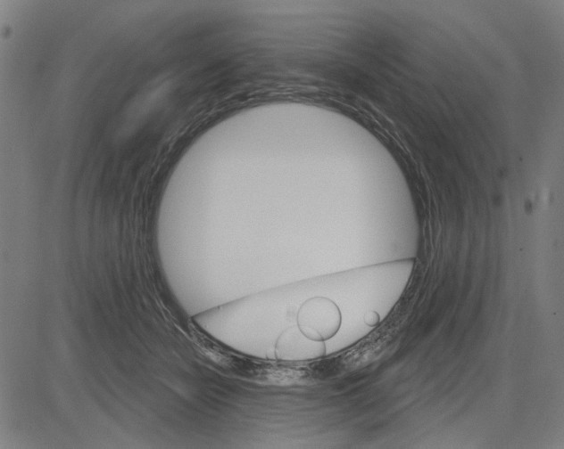 X0000083650462200703121750