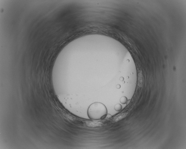 X0000083650463200703121750