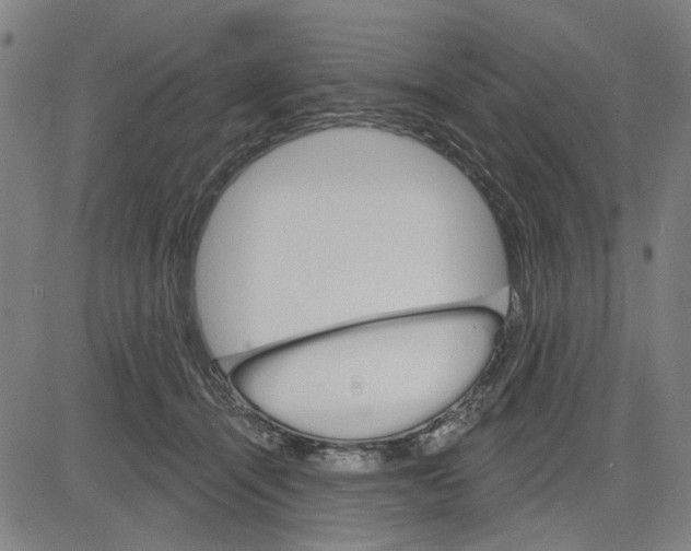 X0000083650464200703121750