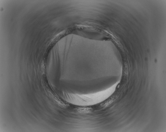 X0000083650465200703121750