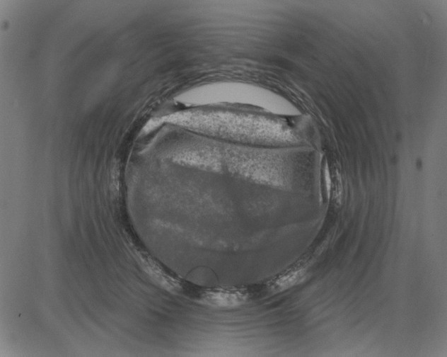 X0000083650466200703121750