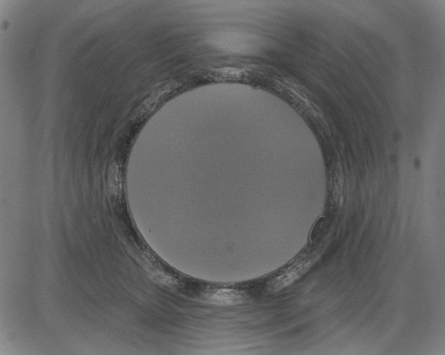 X0000083650467200703121750