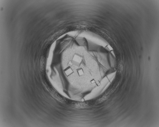 X0000083650468200703121750