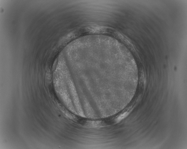 X0000083650469200703121750