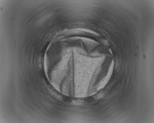 X0000083650470200703121750