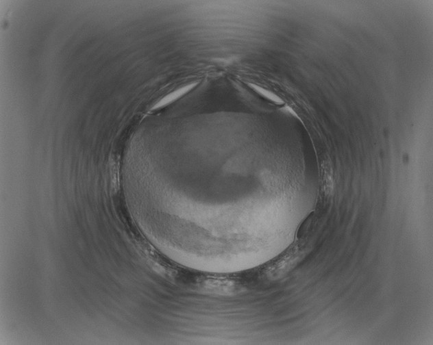 X0000083650471200703121750